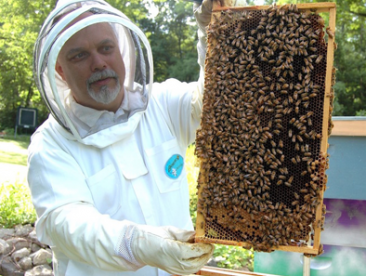 مناطق سرسبز آذربایجان غربی