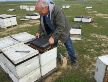 مناطق سرسبز کردستان