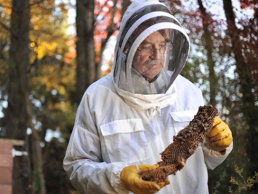 مناطق سرسبز آذربایجان شرقی