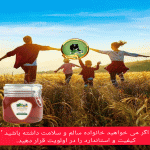 کیفیت و استاندارد